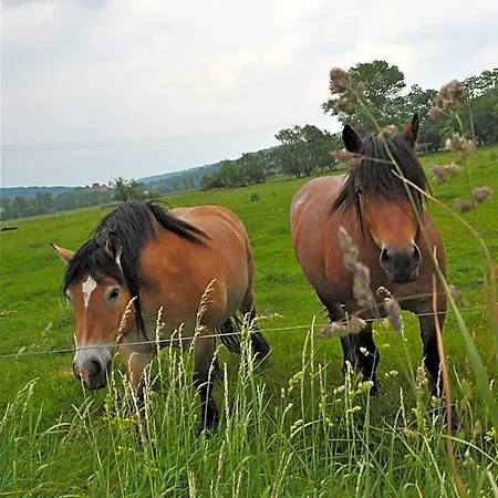 Biohotel Stiftsgut Wilhelmsgluecksbrunn 3* Creuzburg