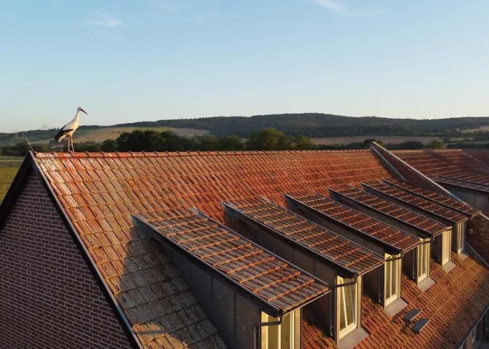 Biohotel Stiftsgut Wilhelmsgluecksbrunn Ξενοδοχείο Creuzburg