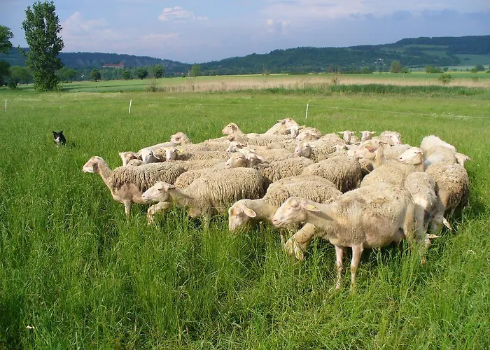 Otel Biohotel Stiftsgut Wilhelmsgluecksbrunn Creuzburg