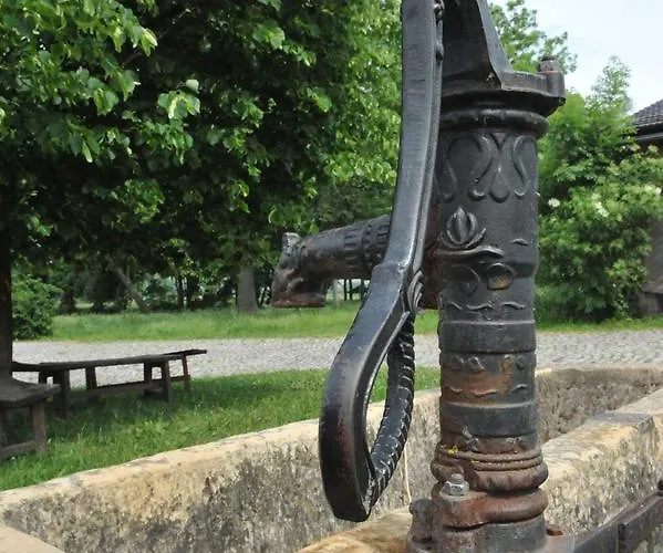 Biohotel Stiftsgut Wilhelmsgluecksbrunn Otel 3*