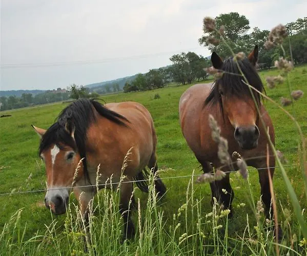 Ξενοδοχείο Biohotel Stiftsgut Wilhelmsgluecksbrunn Creuzburg